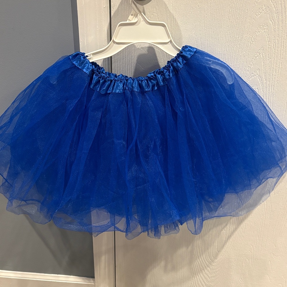 Blue Tulle Skirt